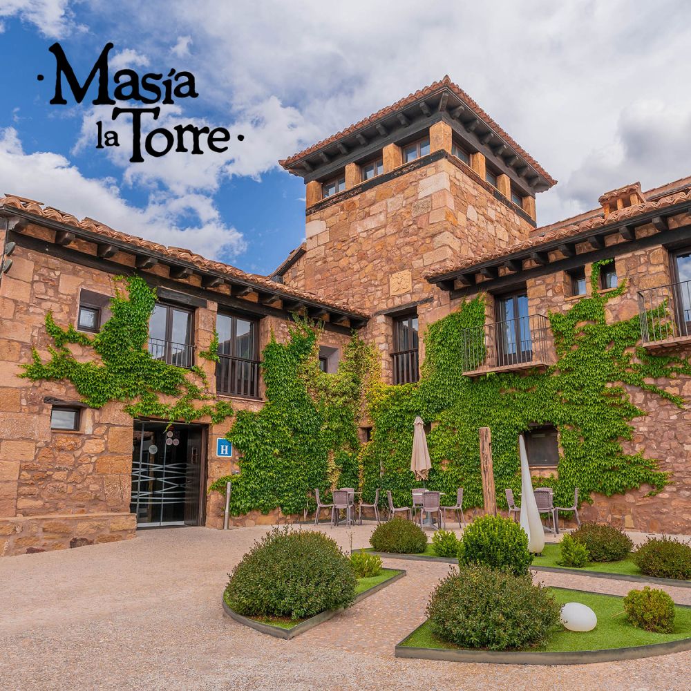 Diseño web dato - portfolio